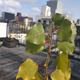 Image for article titled Nexus 6 Review: It's Time To Go Big
